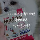 (주)코코소프트 이미지