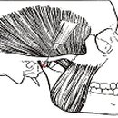 교동한의원 이미지
