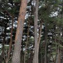 유기방매점 네이버블로그