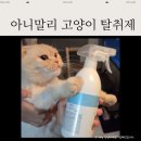 아니말리