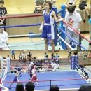 권투인복싱다이어트 이미지