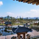 호남의안영구소 | 추석 연휴 숲에서 추억 한페이지 적어보는 건 어떨까? [전국 숲체험 프로그램]