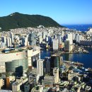 용두산공원 Daum카페