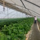 명재농장 이미지