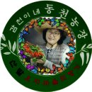 #감천이네_동천농장 의 건고추와 고춧가루 판매 합니다 이미지