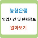 <b>농협</b><b>은행</b> 영업시간 및 탄력점포 알아보기