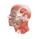 웰신경과의원 이미지