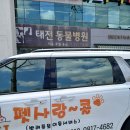 펫택시콜 이미지