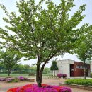 새터근린공원 이미지