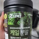 [조은 약초 케일 분말] 솔직한 후기/건강주스 만들기