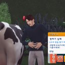 코티지 이미지