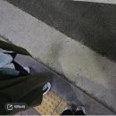 속초 술집 음악 게스트하우스 엘림 오아시스엘림 2차 장소 추천 속초코라 3시까지 영업 콜라 매니아...