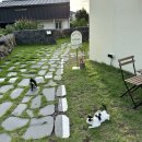 남원읍 태흥2리 사무소 이미지