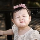 일비노로소 Daum카페