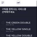 퍼플독