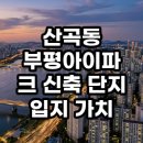인천산곡초등학교 | 산곡동 부평아이파크 입지 가치 분석 직접 가보고 느낀 현실적인 투자 이유 총정리