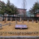 월계공원묘지 이미지