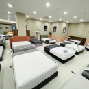 소노트랜스 이미지