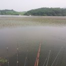 용풍낚시터 이미지