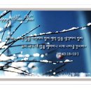 DREAM net 이미지