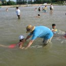 새천년생명의숲 이미지