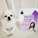 정쌤영어공부방 | 스마일정쌤의 돈 버는 SNS콘텐츠 만들기 with 미리캔버스 북토크 사회보고 왔습니다
