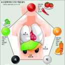 五臟六腑(오장육부)와 5가지 색갈 음식)의 기능 이미지