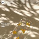 플랫터