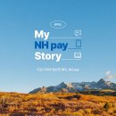 [My NH pay Story] Ep3: 풍요로운 가을을 더 풍성하게 즐긴 후기 (feat. 국내 여행, 문화, 제철음식)