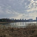 원천천 | 늦가을 광교 원천호수 힐링 트레킹과 별점 4.5 맛집 후기