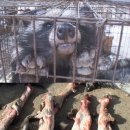 천마리농장 이미지