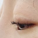 사파동101 이미지