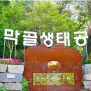 거북이동산 이미지