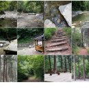 강씨봉자연휴양림 이미지