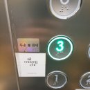 두손애뷰티