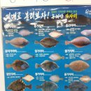 쨍하고회뜨는날 이미지