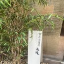 멍앤미 | [서울 관악] 서울대입구 내돈내산 맛집 앤미