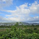 하루한팀 풀빌라 낙원 이미지