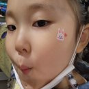 한빛반 이수현 주말이야기 이미지