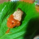 안면도바다사랑낚시 이미지