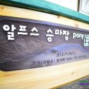 알프스 PC 이미지