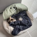 슬로우 인 풀빌라 이미지