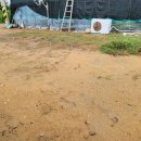 사래실천 이미지