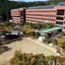 앨리스실험과학교습소