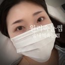 [송내역 속눈썹 &#39;원리속눈썹 송내점&#39;] 또렷하고 진한 유지력1등, 부천 속눈썹펌 후기