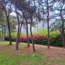 서녘어린이공원 이미지