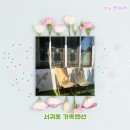 테오집 | 서귀포 가족펜션 테오집 우리가족 힐링스팟으로 정했어요