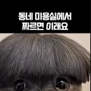 동네미용실 이미지