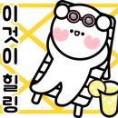 카르멜 인 포레스트 이미지