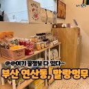 초롱이 애견 미용샵 | 부산 연산동 애견 미용샵 ‘말랑멍무’에서 미용 후기
